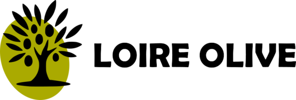 LOIRE OLIVE
